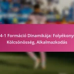 3-2-4-1 Formáció Dinamikája: Folyékonyság, Kölcsönösség, Alkalmazkodás